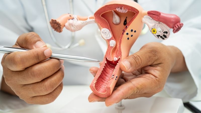 Obstetrics & Gynaecology